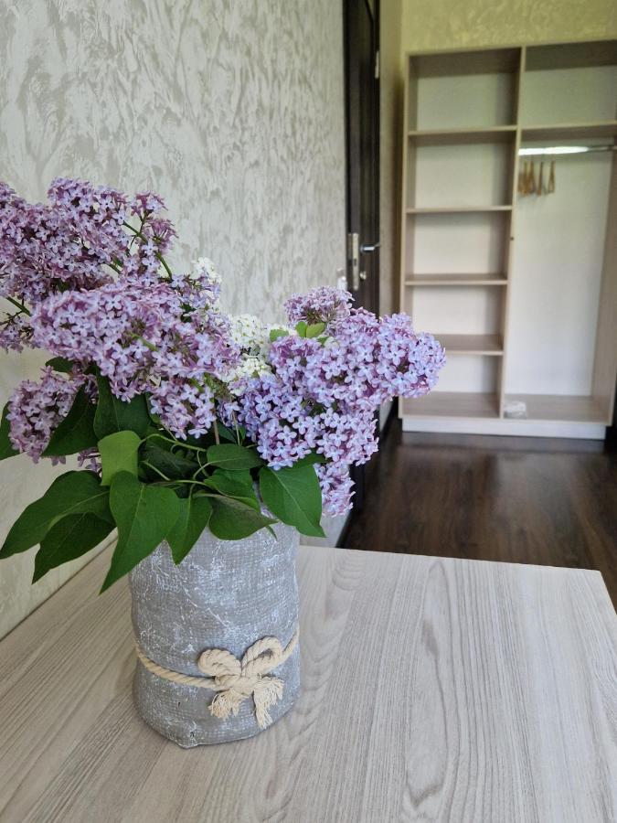 Villa Zenko 布留霍维奇 外观 照片