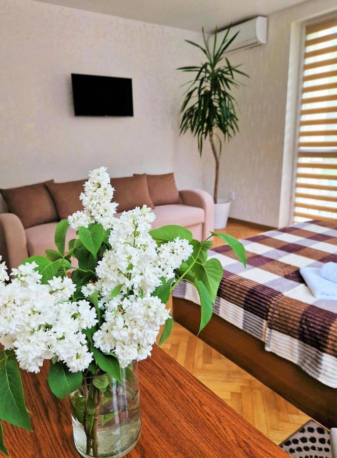 Villa Zenko 布留霍维奇 外观 照片